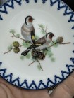 Bild 7 von 7