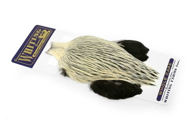 Plumes Whiting Farms American Rooster Cape de qualité supérieure pour le montage de mouches de pêche