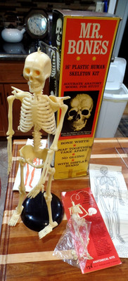 VINTAGE 1960'S MR. BONES 16'' SKELETON IN ORIGINAL BOX EDUCATION OR HALLOWEEN