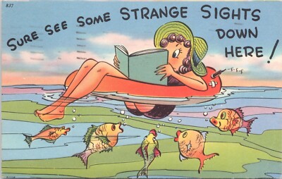 Humor Postcard-Sure See Some Strange Sights Down Here!