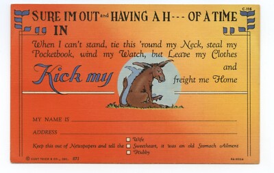 Drinking Drunk Ass Trip Off Color  Comic Art Humor Postcard