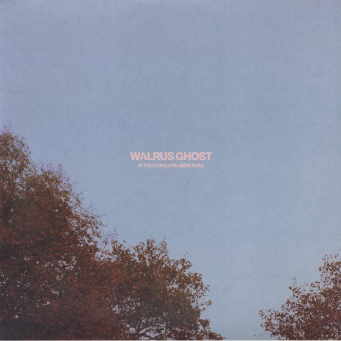 WALRUS GHOST - If You Could Be Here Now - Vinyl (LP)