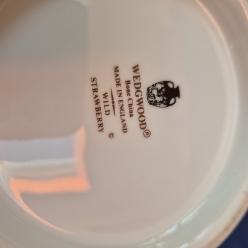 Wedgwood Wild Strawberry Planter Pot Xmas Planter Pot Bone China Planter Pot - Picture 8 of 12
