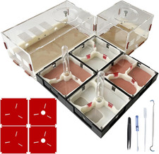 Ant Farm Nest Science DIY Terrarium Kit Care for Live Ants Ant Habitat with Wate