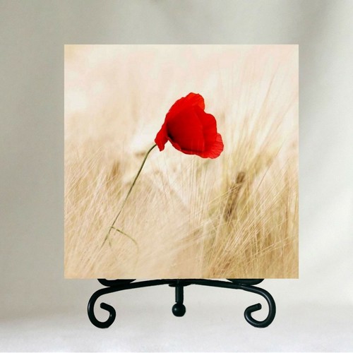 Dekorative Fliese 4" x 4" Untersetzer rotes Mohnfeld einzeln rot Mohnblume Mohnblumen - Bild 7 von 10