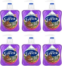 Carex Gruffalo Deep Dark Forest Fruits Antibacterial Hand Wash 6x250ml 5.56 per litre