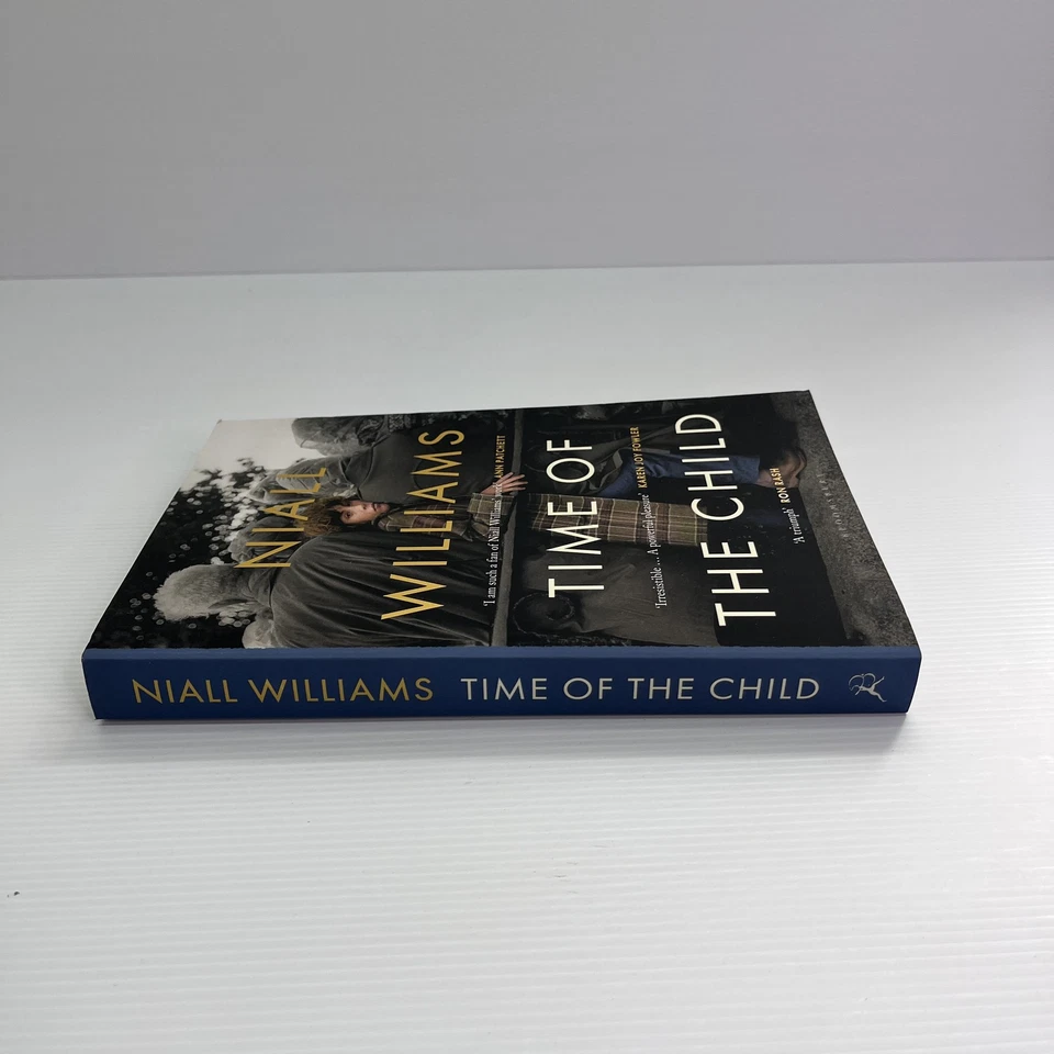 Time of the Child by Niall Williams Paperback Book Fiction - image 4 of 4