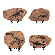 Resins Dinosaur Fossils Statue Model Simulated Skeleton Home Office Desk Display