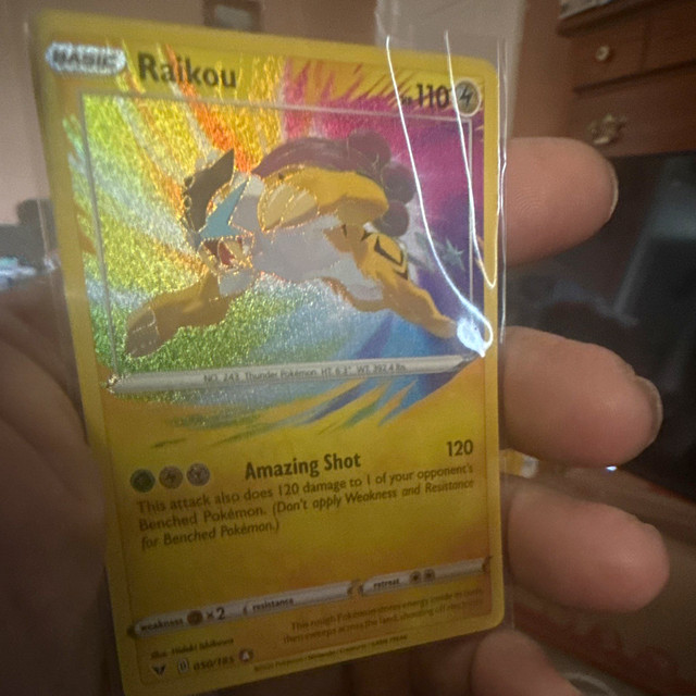Raikou (Vivid Voltage)