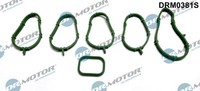 Dr.Motor Automotive DRM0381S Dichtungssatz, AnsaugkrüMmer For Fiat Lancia