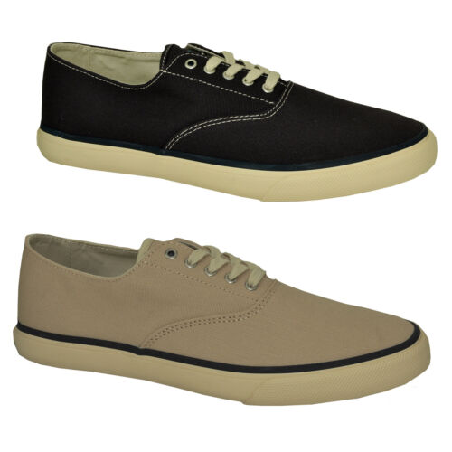 Sperry Top Sider Cloud CVO Canvas Bateau Homme Chaussures Mocassins Basses - 第 1/16 張圖片