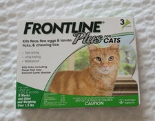 rabbit toys and accessories