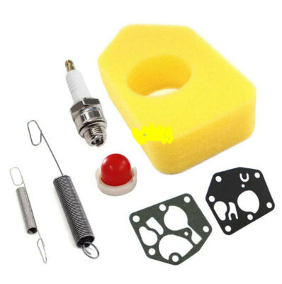 für Briggs & Stratton Quattro 450/500 550 Luftfilter Zündkerze Vergaser Membrane