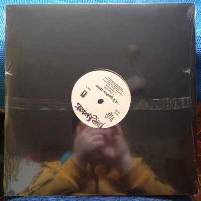 Limp Bizkit - N 2 Gether Now (12