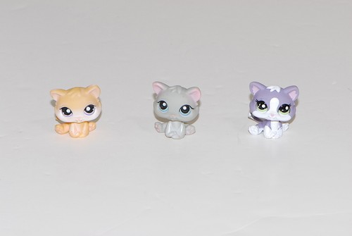 Littlest Pet Shop LPS Kätzchen Lot # 198 1648 2033 Hasbro Original