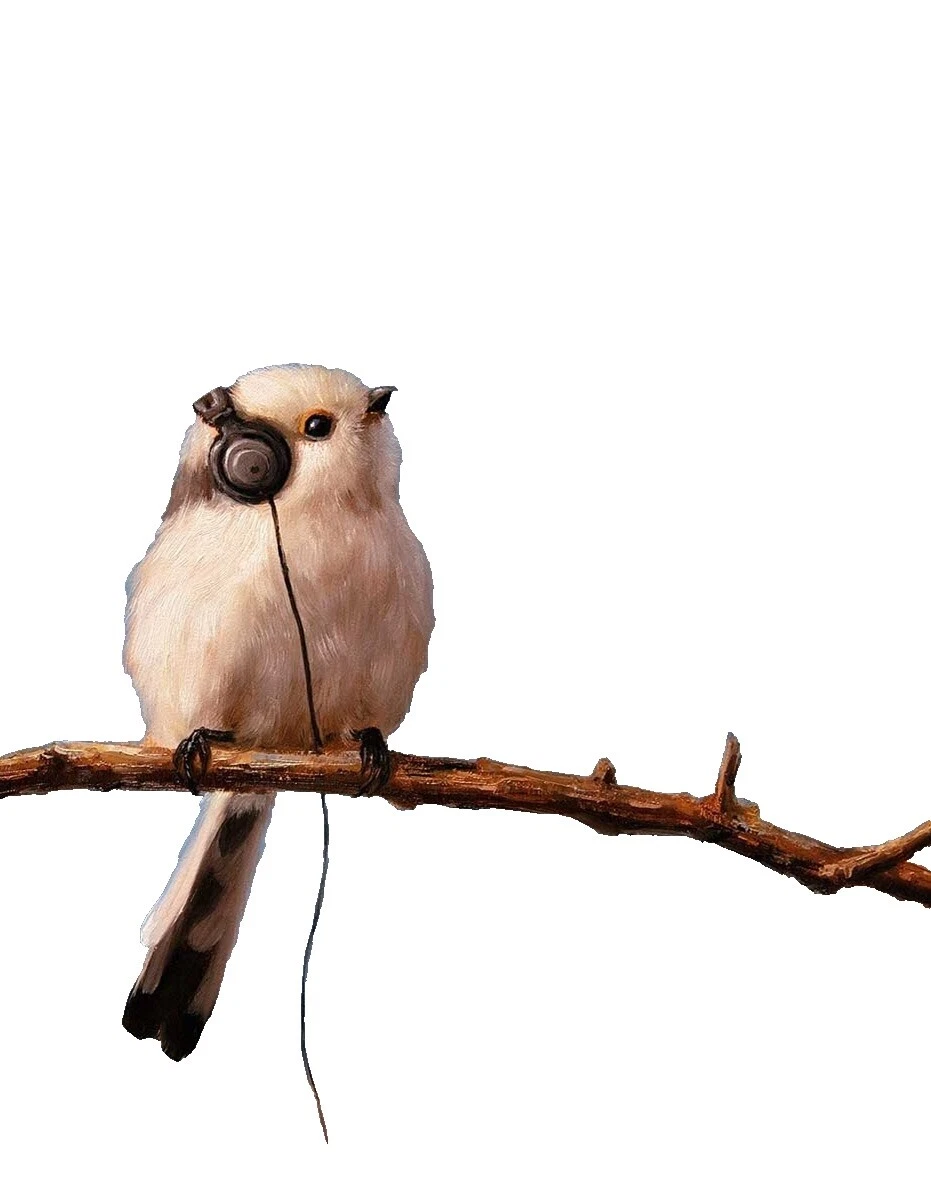 Arte contemporáneo Papel Pájaros Art Prints