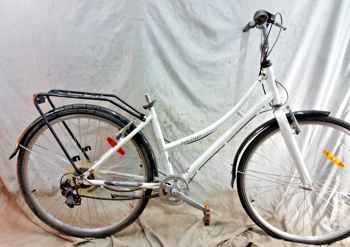 2010 Infinity Cruiser Bike Medium 17