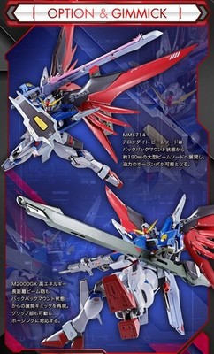 Bandai METAL ROBOT SPIRITS SIDE MS Destiny Gundam Re:Coordinate