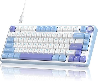 RK ROYAL KLUDGE R75 Mechanical Keyboard 75% Wired RGB Hot Swappable Gaming- OB