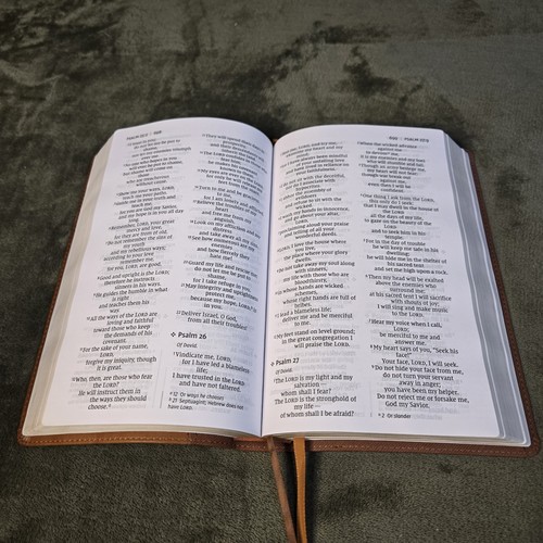 NIV, Personal Size Bible, Large Print, Leathersoft, Brown, Red Letter - Picture 4 of 9