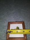Picture 4 of 6
