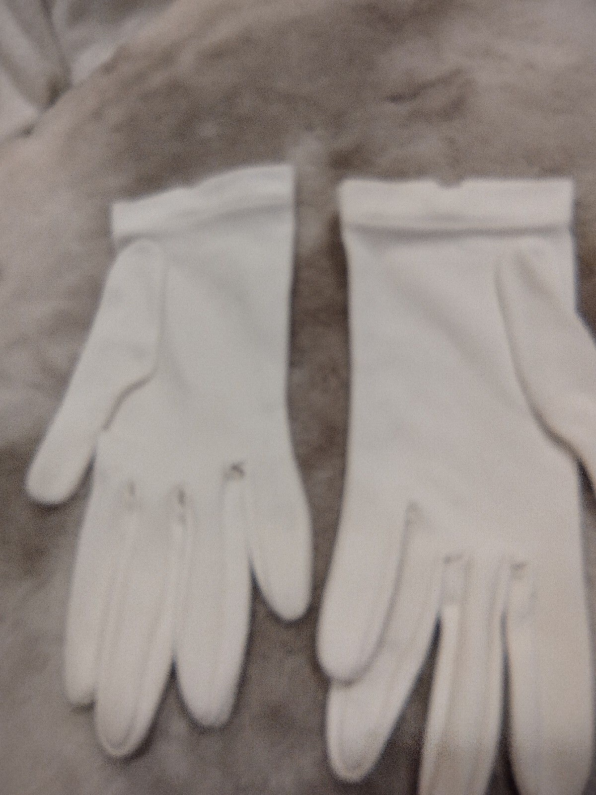Picture 5 of 5