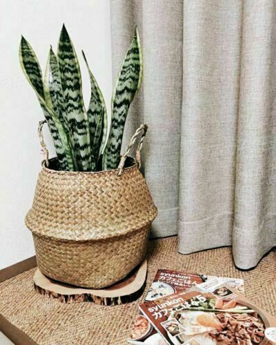 Seagrass Basket Belly Flower Plant Woven Storage Wicker Pots Home Laundry DecoFH - Afbeelding 1 van 10