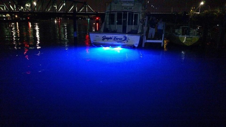 BLUE BTY LED BOAT DRAIN PLUG LIGHT 1200 LUMENS LED LIGHT GARBOARD