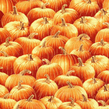 Pumpkins Harvest Cotton Fabric