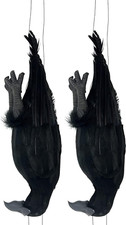 Get Rid of Crows  17 Inch Realistic Dead Crows Decoy Lifesize Large Black Feather
