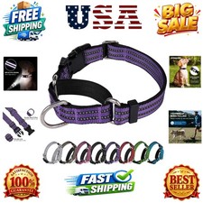 Martingale Dog Collar, Adjustable Nylon Reflective Collar with Quick Release ...