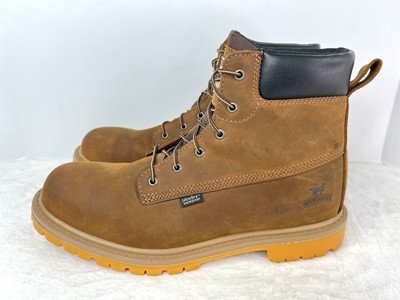 Irish Setter 83613 Hopkins 6