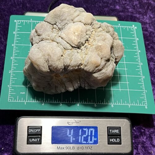 5-1/2" ungeschliffene Geode ungeöffnet geodisiert Fossil Quarz Kristall Chalzedon massiv 4,12 - Bild 6 von 8
