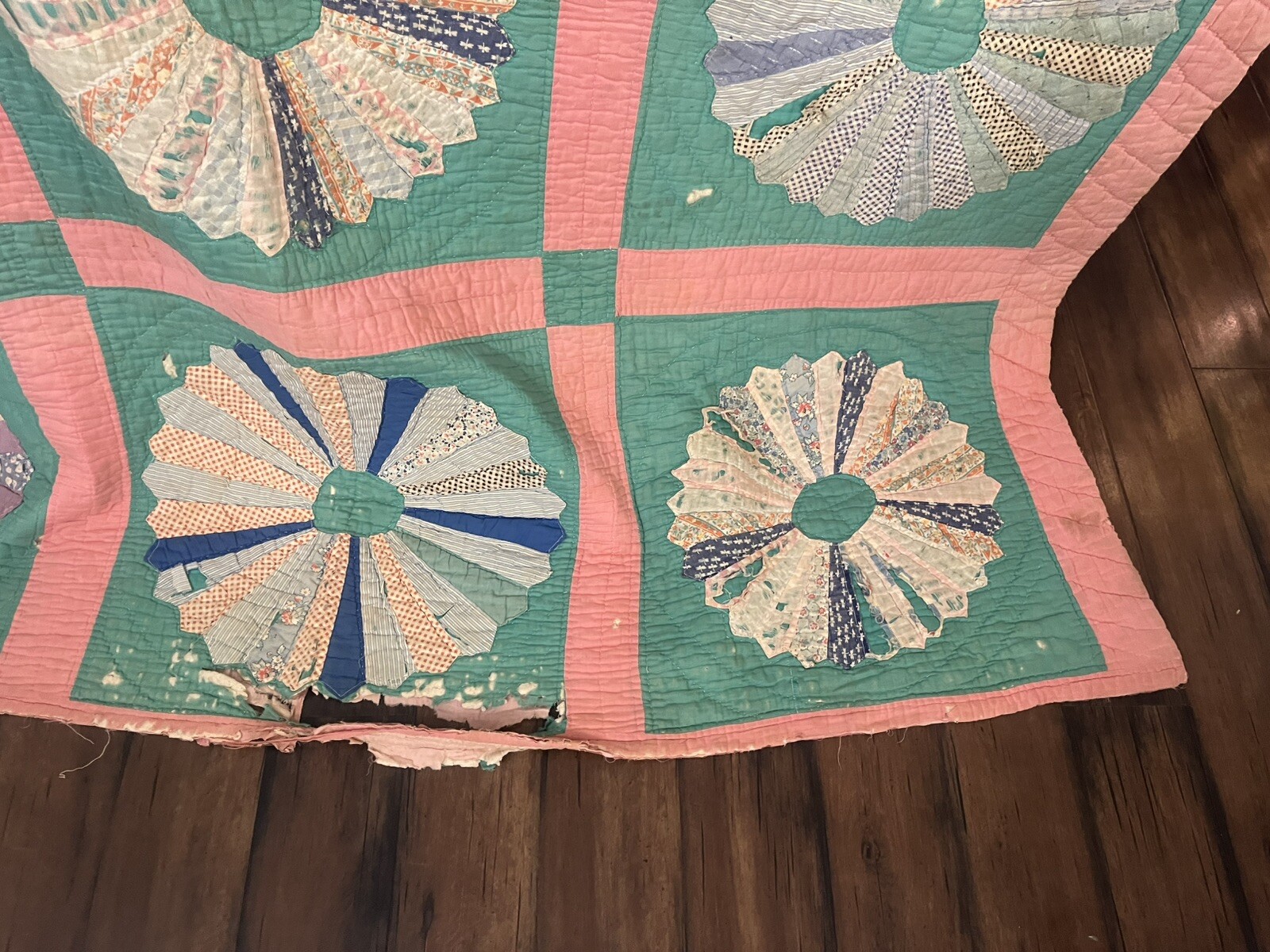 Picture 6 of 13