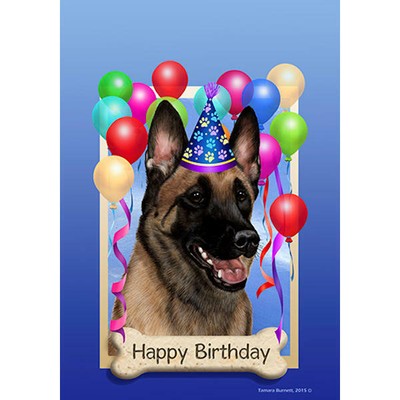 happy birthday belgian malinois