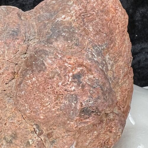 5” Red Unopened Geode Crystal Chalcedony Non Rattling Fossil Quartz Uncut 2.2Lbs - Picture 3 of 13