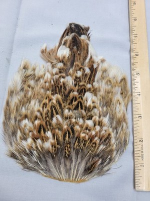 Lot 406,  Natural Hen Back Saddle Soft Hackle Feathers for Fly Tying