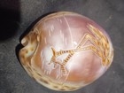 Carved Tiger Cowrie Sea Shells ~ Fish And Flamingo Lot of 2 — photo 2