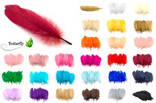 10 G&auml;nsefedern 15-20cm Gans Schmuckfedern Bastelfedern Dekofedern Indianerfedern