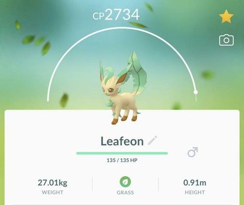 Pokemon Go Level 35 New Eevee Evolution Leafeon Best Price Fast Delivery Ebay Pokemon Go Level 35 New Eevee Evolution Leafeon Best Price Fast Delivery Ebay