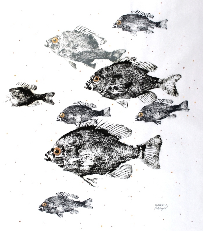 8-bluegill-sunfish-gyotaku-fish-rubbing-11-x-14-best-art-print-lake