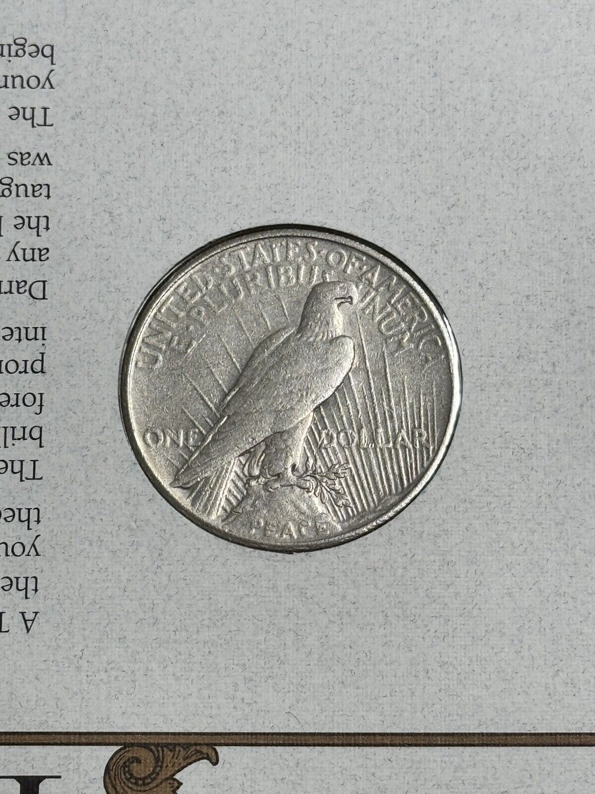 Picture 4 of 4
