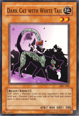 Dark Cat with White Tail - MFC-083 - Common - Unlimited Edition NM Yugioh Magici