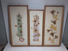 Zipfelhaus DDR 3 Bilder Pressblumen