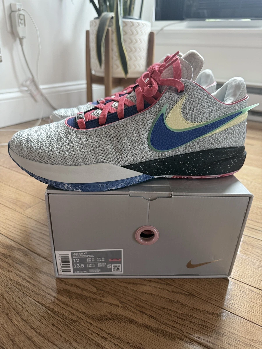 Nike LeBron 20 Nike Lifer for Sale | Authenticity Guaranteed | eBay