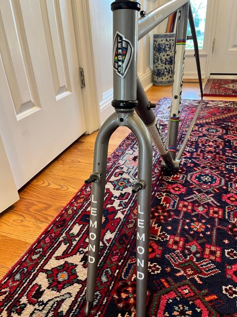 Lemond Wayzata 55cm Steel frame(Poprad geo) Funky derailleur hanger