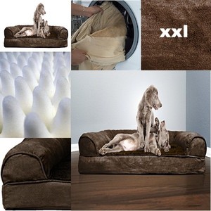 clearance dog beds large