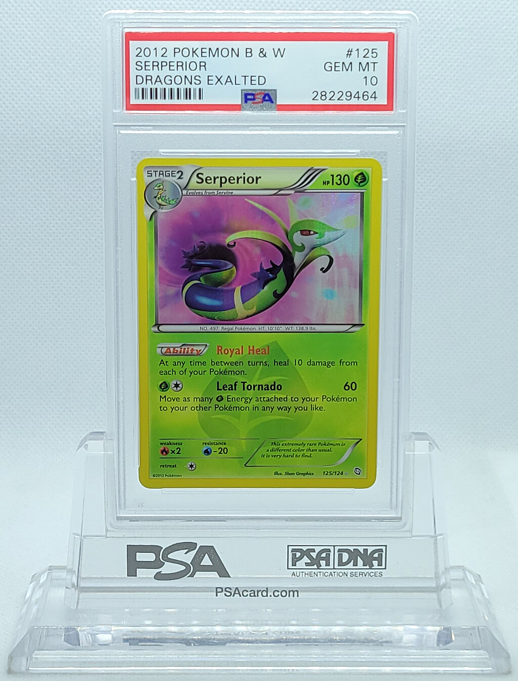 POKEMON DRAGONS EXALTED SERPERIOR #125 SECRET PSA 10 GEM MINT #28229464  (POP 9) | eBay
