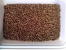 Vtg 100 grams WOOD POLISHED RONDELLE BEADS 5x3mm 022719e CLOSE OUT