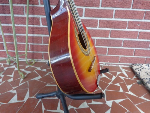 Vintage 12 String Mandolin - Mandriola / Trichord - Picture 9 of 14
